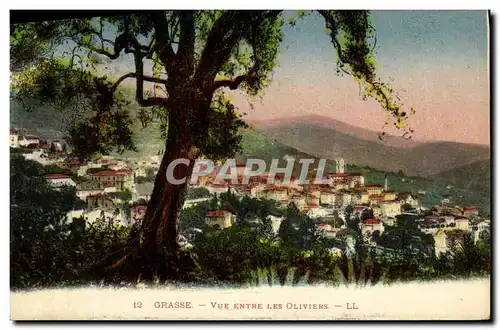 Cartes postales Grasse Vue Entre Les Oliviers