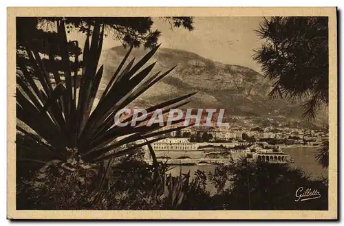 Cartes postales Monte Carlo Entre les Arbres