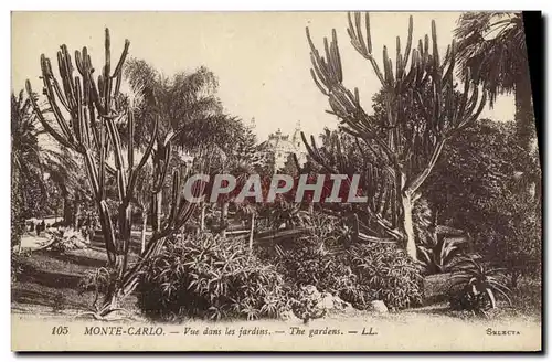 Cartes postales Monte Carlo Vue dans les jardins Cactus