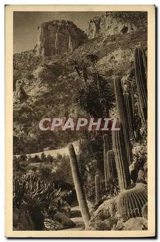 Cartes postales Cote D Azur Monte Carlo Le Jardin exotique