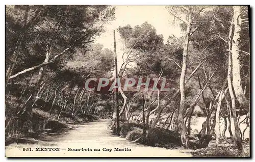 Cartes postales Menton Sous bois au Cap Martin