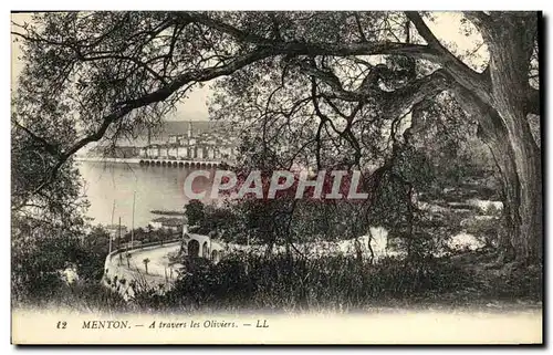 Cartes postales Menton A travers les Oliviers