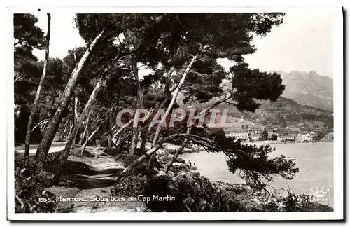 Ansichtskarte AK Menton Sous bois au Cap Martin