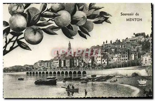 Ansichtskarte AK Souvenir de Menton Citrons