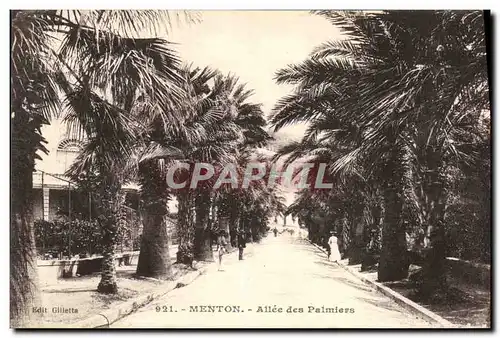 Ansichtskarte AK Menton Allee des Palmiers