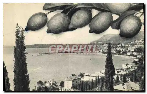 Ansichtskarte AK Menton Vue generale Les Citrons