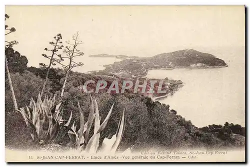 Cartes postales St Jean Cap Ferrat Etude d Aloes Vue generale du Cap Ferrat