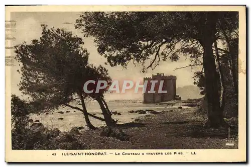 Cartes postales lle Saint Honorat Le Chateau a Travers les Pins