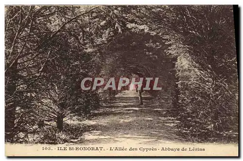 Ansichtskarte AK lle Saint Honorat L Allee des Cypres Abbaye de Lerins