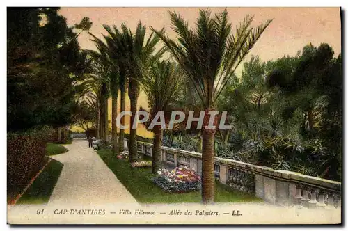 Cartes postales Cap D Antibes Villa Eilenroc Allee des Palmiers