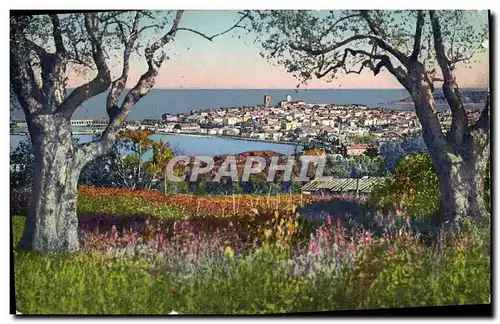 Cartes postales Antibes Panorama vu a travers les oliviers