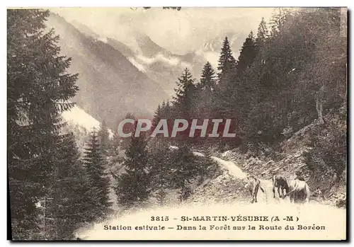 Ansichtskarte AK St Martin Versubie Station Estivale Dans la Foret sur la Route du Boreon