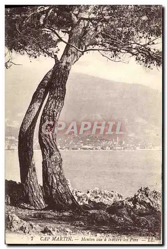 Cartes postales Cap Martin Menton vue a travers les Pins