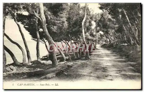 Ansichtskarte AK Cap Martin Sous Bois