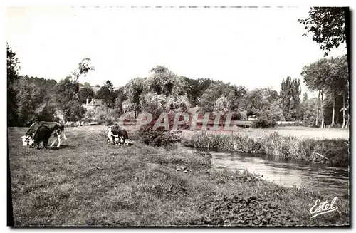 Cartes postales moderne Ezy sur Eure Le Pont des Cordeliers Paturages au Bord de l Eure Vaches