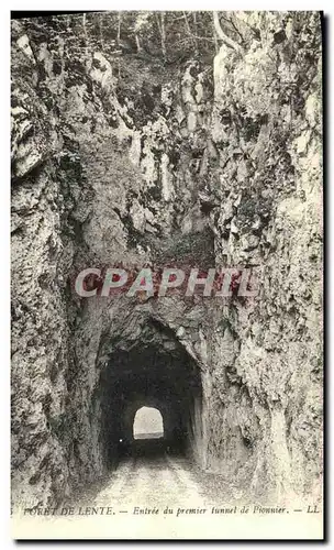 Cartes postales Foret de Lente Entree du Premier tunnel de Pionnier