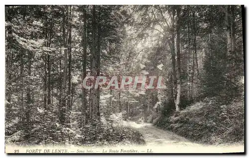 Ansichtskarte AK Foret de Lente Sous bois La Route Forestiere