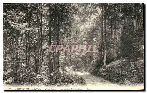 Cartes postales Foret de Lente Sous bois La Route Forestiere