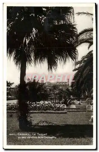 Cartes postales Cannes Le Suquet Vu des Jardins de la Croisette