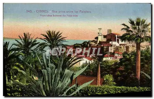 Cartes postales Cannes Vue Prise Entree les Palmiers