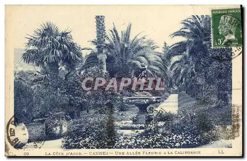 Cartes postales Cannes Une Allee Fleurie a La Californie