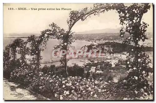 Cartes postales Nice Vue Prise entre Les Fleurs