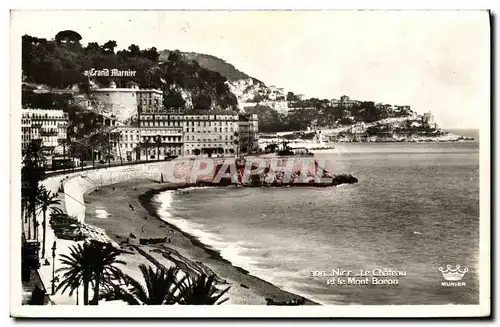 Cartes postales Nice Le chateau et le Mont Boron