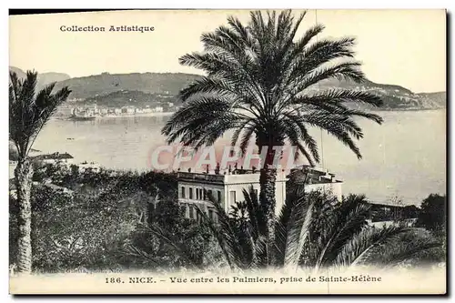 Cartes postales Nice Vue Entre les Palmiers Prise de Sainte Helene