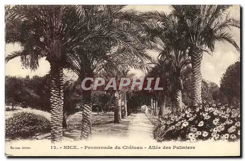 Cartes postales Nice Promenade du Chateau Allee des Palmiers