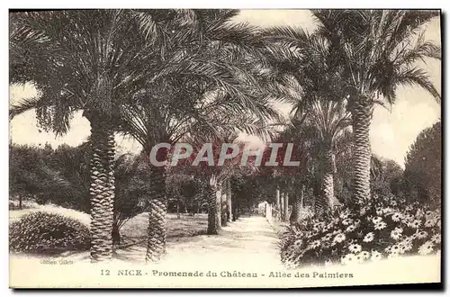 Cartes postales Nice Promenade du Chateau Allee des Palmiers