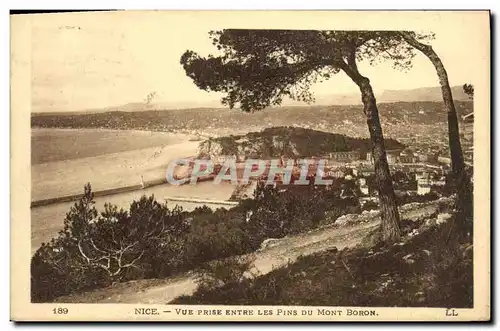 Cartes postales Nice Vue Prise Entre les Pins du Mont Boron