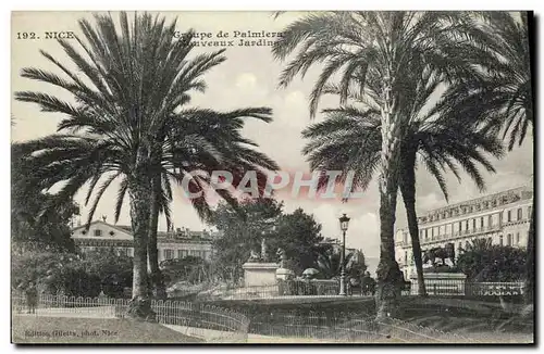 Cartes postales Nice Groupe de Palmiers