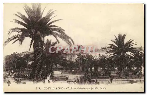 Cartes postales Cote D Azur Nice Palmiers au Jardin Public