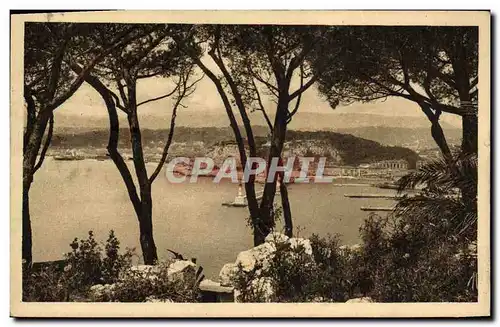 Cartes postales Nice Vue entre les Pins