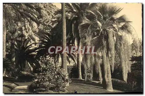 Cartes postales Nice