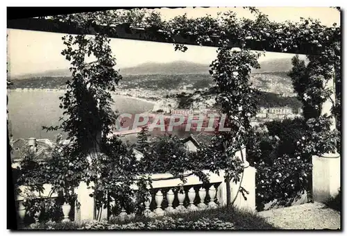 Cartes postales Nice Vue prise entre les pergolas fleuries