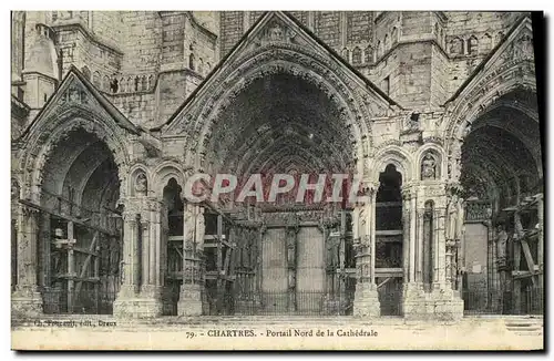 Ansichtskarte AK Chartres Portail Nord de la Cathedrale