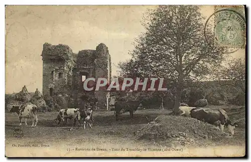 Cartes postales Environs de Dreux Tour du Tremblay le Vicomte Vaches