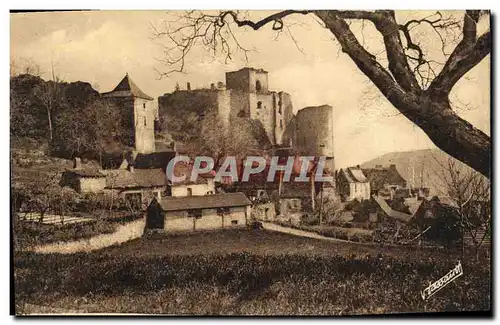 Cartes postales Castelnaud Ruines du Chateau
