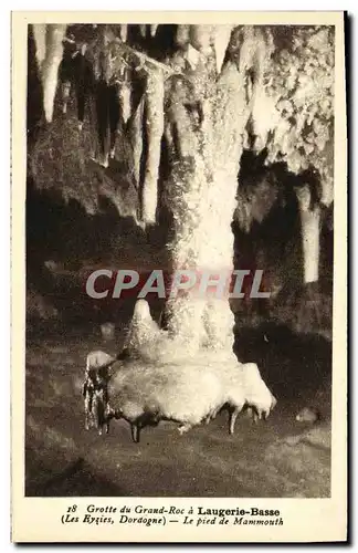 Cartes postales Grotte du Grand Roc Laugerie Basse Le piede Mammouth