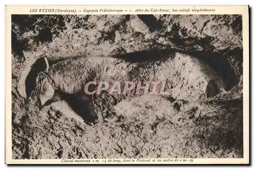 Cartes postales Les Eyzies Abrs du Cap Blanc bas reliefs magdalensens