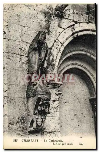 Ansichtskarte AK Chartres La Cathedrale L Ane qui Vielle