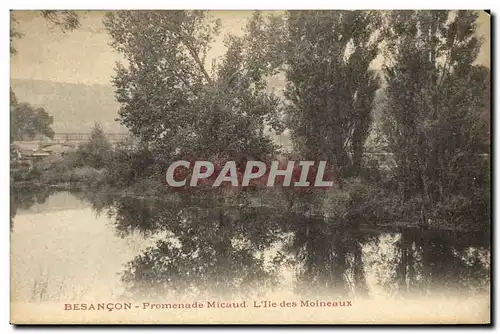 Cartes postales Besancon Promenade Micaud L lle des Moineaux