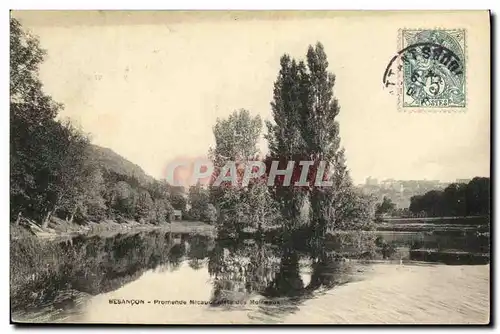 Cartes postales Besancon Ile aux Moineaux