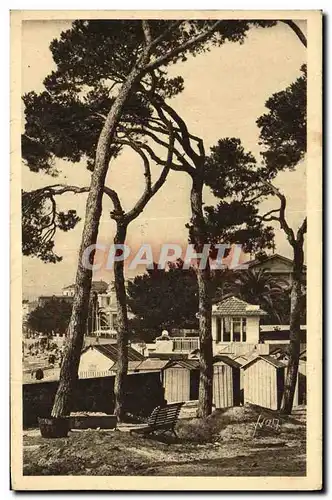 Cartes postales Juan les Pins etude de Pins