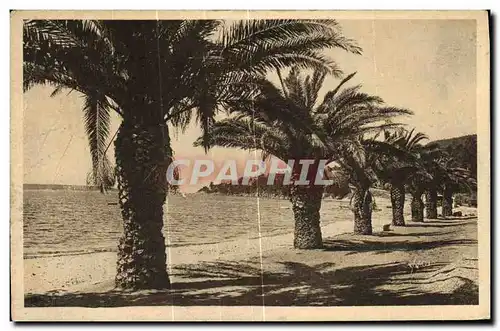 Cartes postales Le Golfe Juan Avenue des Freres Roustan