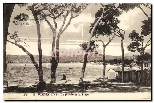 Cartes postales Juan les Pins La pinede et la Plage