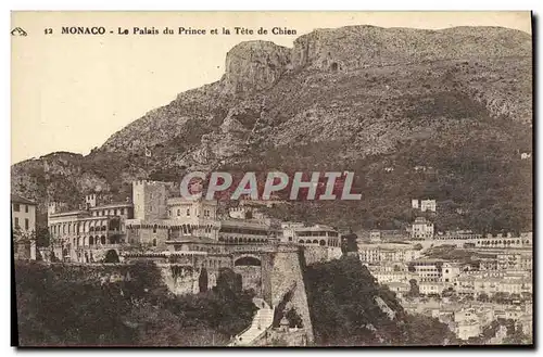 Cartes postales Monaco Le Palais Du Prince et la Tete de Chien