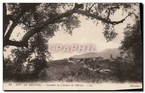 Cartes postales Environs de Menton Castellar Vu Travers Les Oliviers