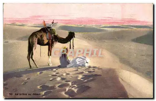 Cartes postales La priere du desert Chameau Au dos Cachet Armee du levant Cavalerie